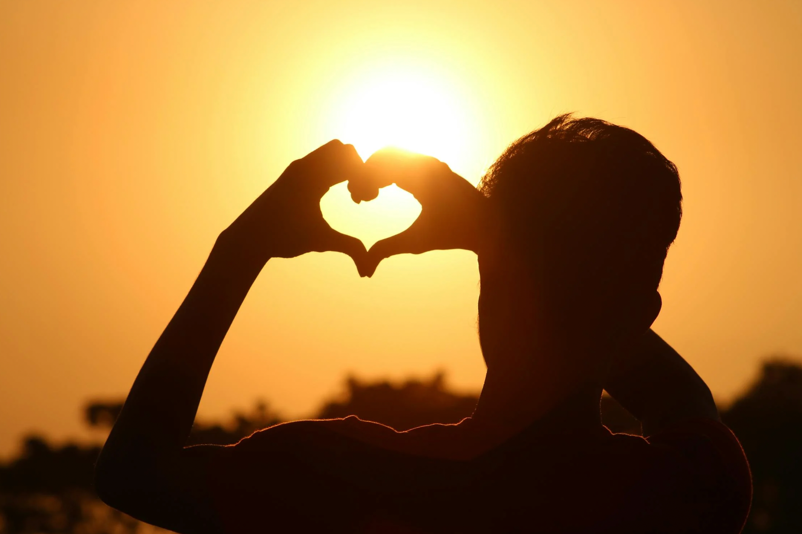 From Sunlight to Supplements: The Vitamin D Revolution
